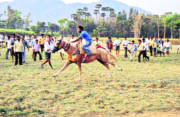 జాతరలో చల్‌ చల్‌ గుర్రం! 2