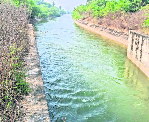 సర్వేను సమగ్రంగా నిర్వహించాలి
3