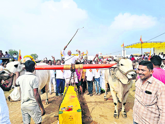 హోరాహోరీగా బండలాగుడు పోటీలు1