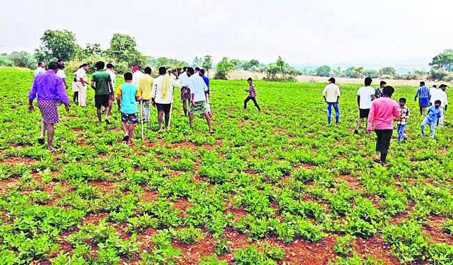 పీఎం ఇంటర్న్‌షిప్‌ పథకాన్ని సద్వినియోగం చేసుకోండి 1