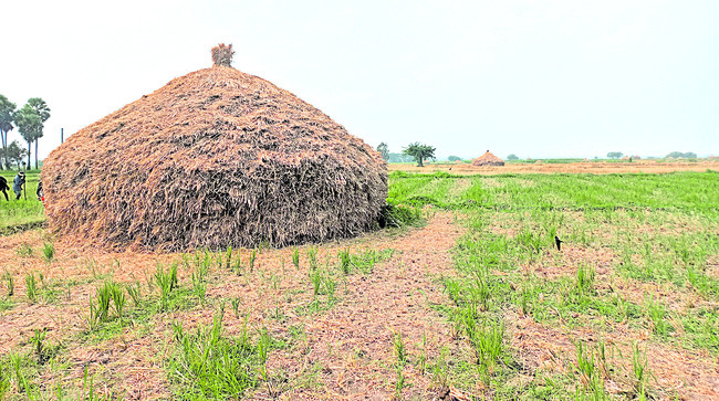 శుక్రవారం శ్రీ 17 శ్రీ జనవరి శ్రీ 20251