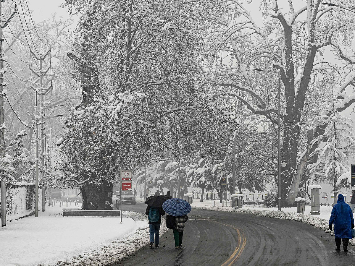 Heavy Snowfall Blankets Kashmir Valley Photos10