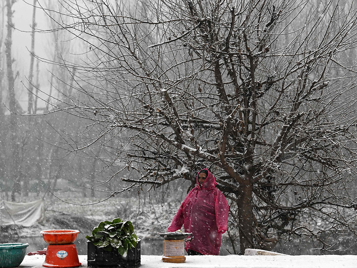 Heavy Snowfall Blankets Kashmir Valley Photos21