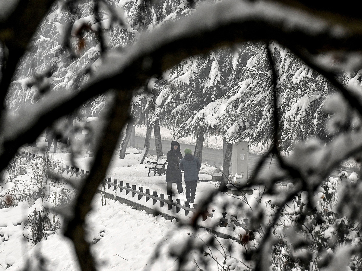 Heavy Snowfall Blankets Kashmir Valley Photos9