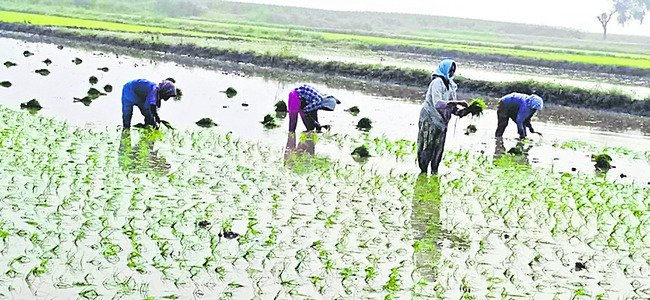 ప్రతికూలీంచిన పరిస్థితి1