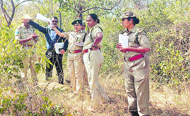 అడవుల సంరక్షణపై శిక్షణ
1