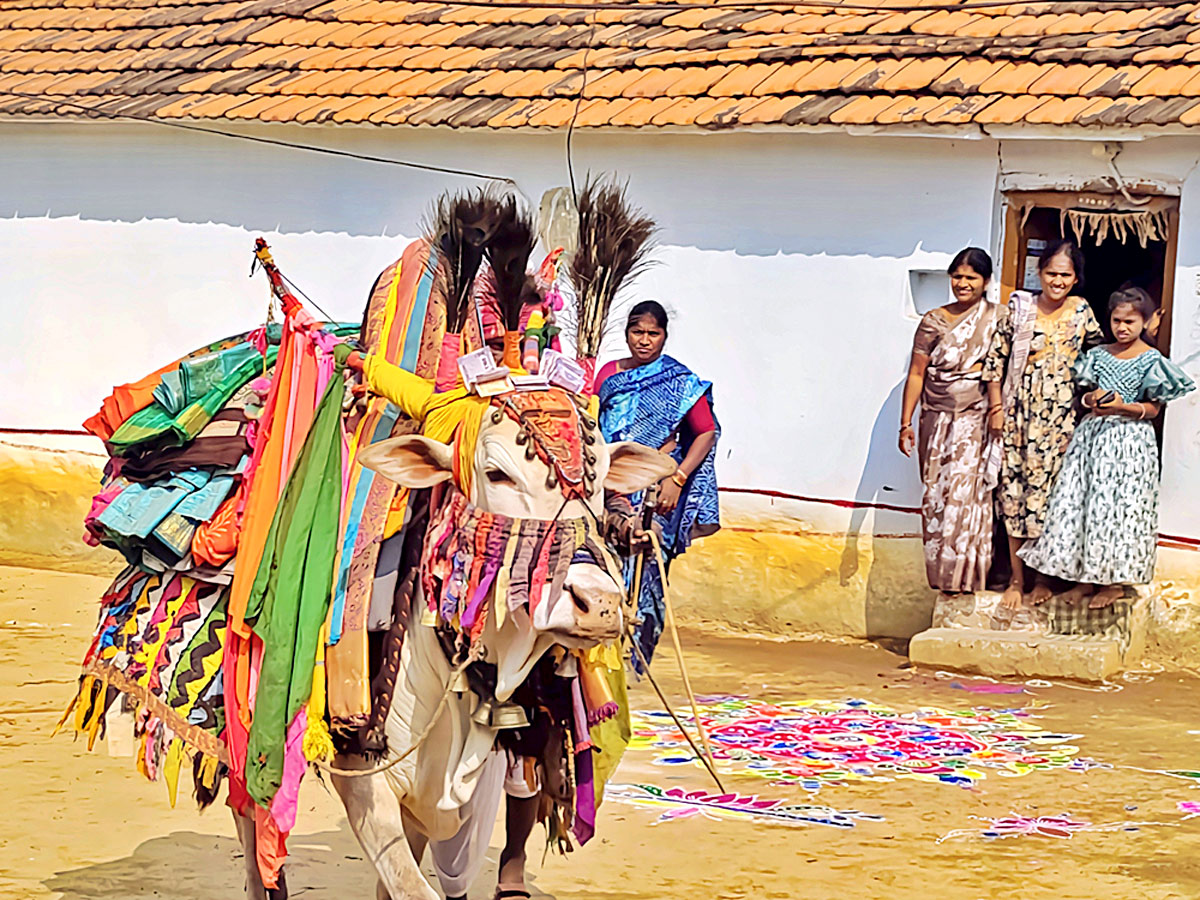 Best Photos of The Week in AP and Telangana Photo Gallery23