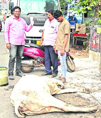 మూగజీవాలకు ఆపద్బాంధవుడు 1