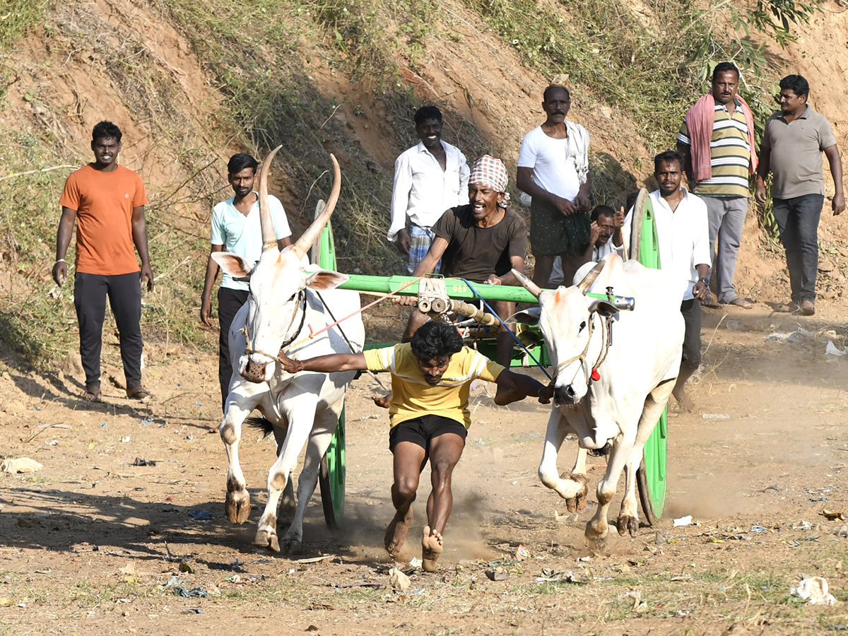 Bull Race in Chowduvada village Anakapalle district10