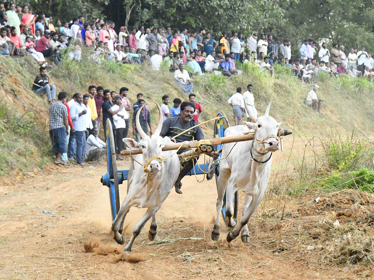 Bull Race in Chowduvada village Anakapalle district2