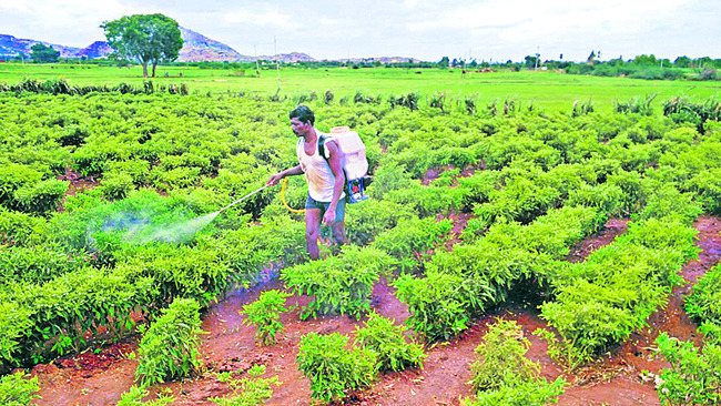 ఇష్టానుసారం వాడకూడదు 1