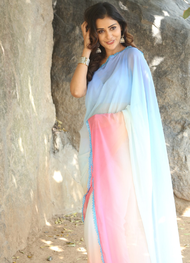 Payal Raj In Decent Saree Look Photos6