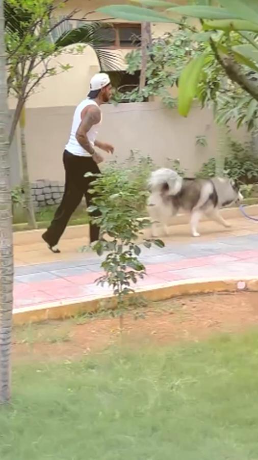 My favorite partner, Tilak Varma posts Photos of his dog in unique t-shirt and glasses11