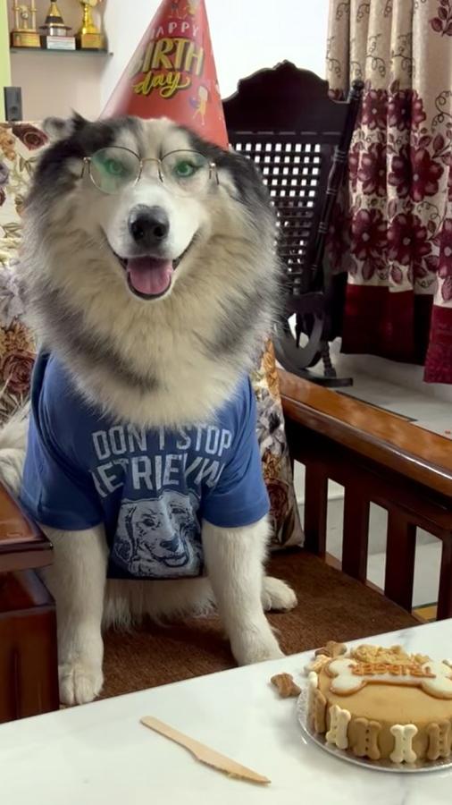 My favorite partner, Tilak Varma posts Photos of his dog in unique t-shirt and glasses3