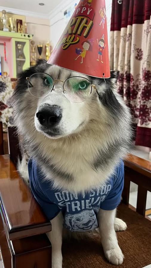 My favorite partner, Tilak Varma posts Photos of his dog in unique t-shirt and glasses4