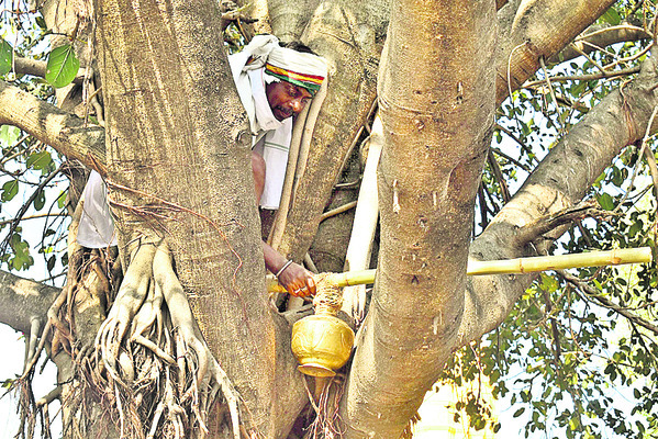 ఇంద్రాదేవికి ‘మెస్రం’ పూజలు1