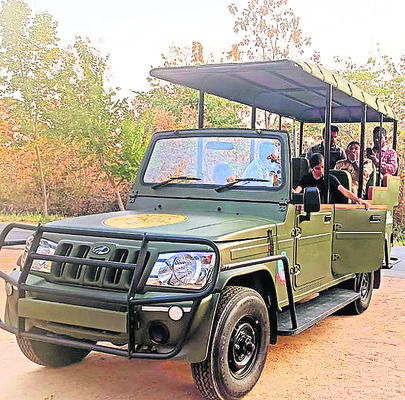 క్వారీ లోయల్లో..1