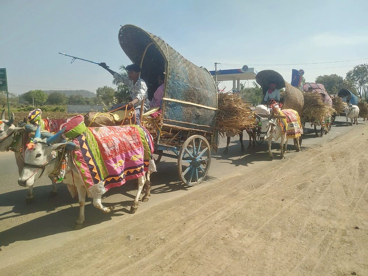 Adilabad : Nagoba Jatara 2025 Photos2