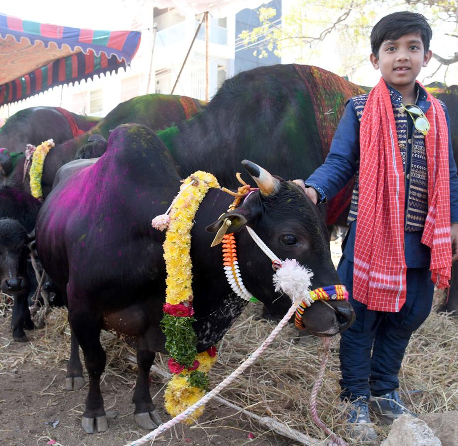 Pashu Sankranthi Jatara at Narsingh Photos14