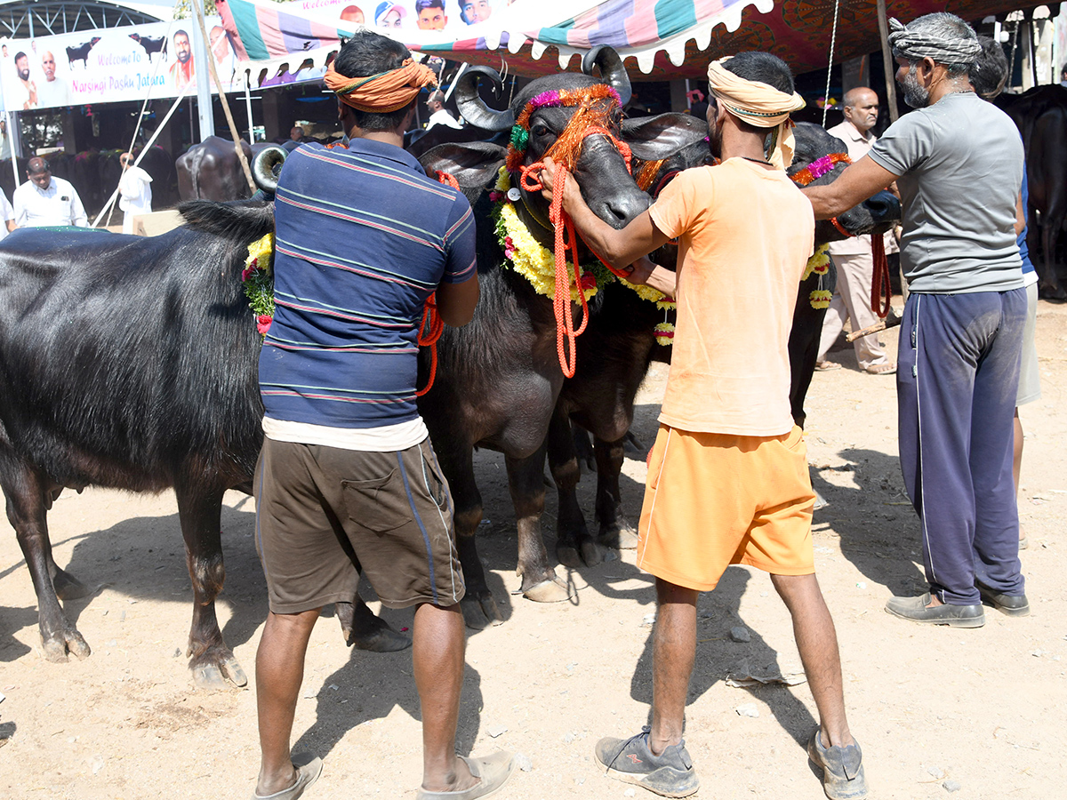 Pashu Sankranthi Jatara at Narsingh Photos3