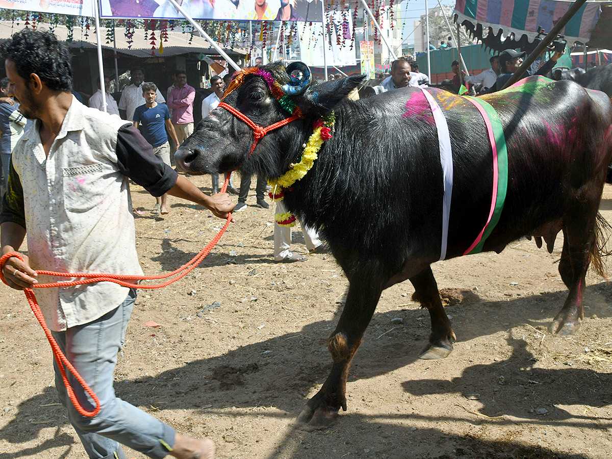 Pashu Sankranthi Jatara at Narsingh Photos7