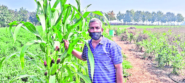 పిల్లలు ఉన్నత చదువులకు..
1