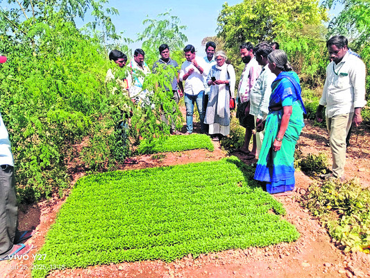 పేదలకు ఉచితంగావైద్య సేవలు అందించాలి 1