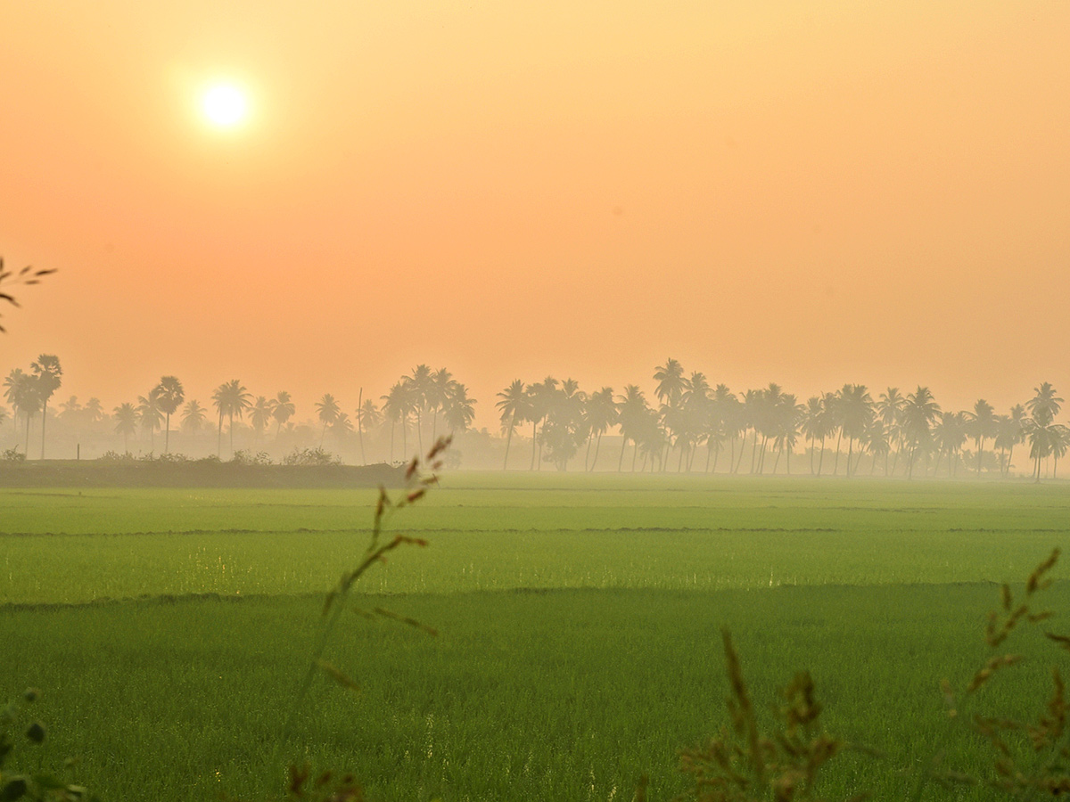 Best Photos of The Week in AP and Telangana Photo Gallery13