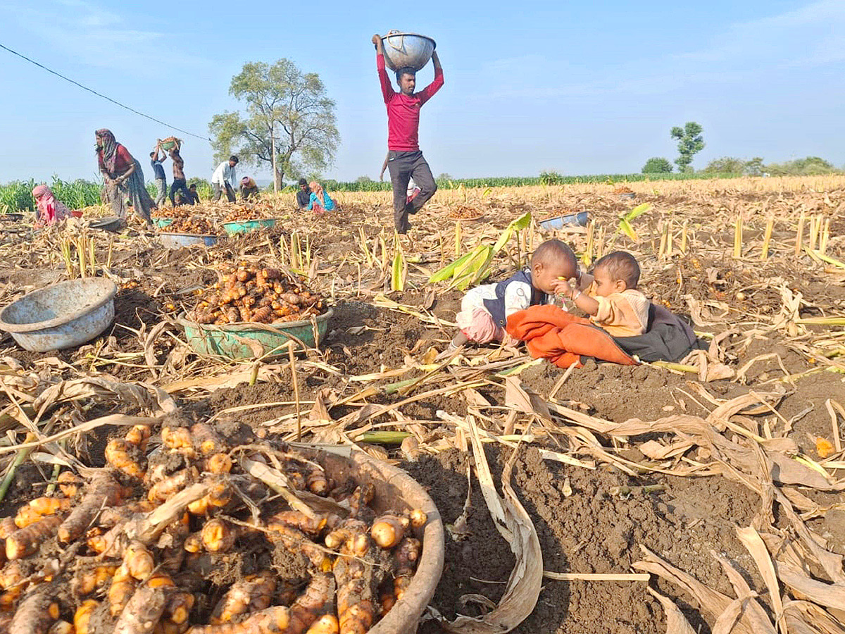 Best Photos of The Week in AP and Telangana Photo Gallery35