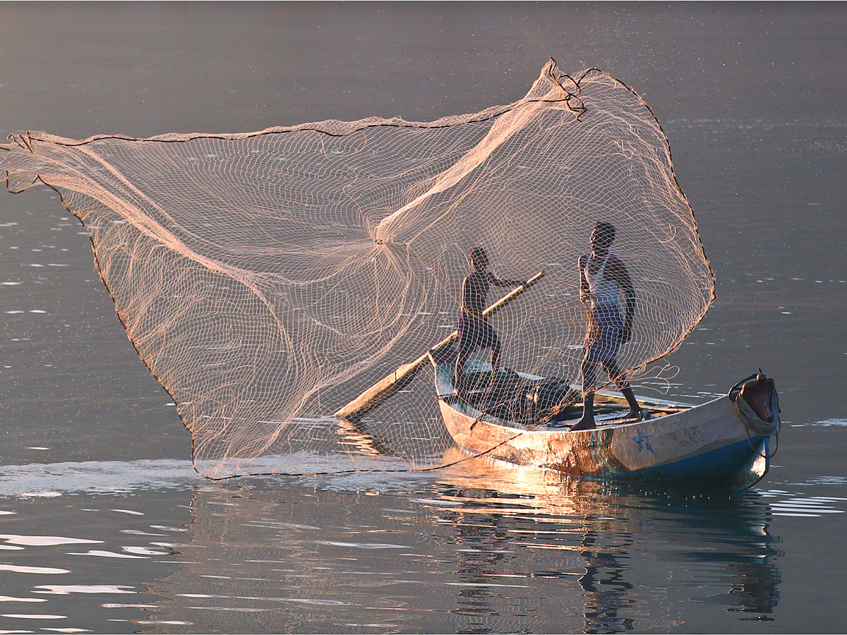 Best Photos of The Week in AP and Telangana Photo Gallery39