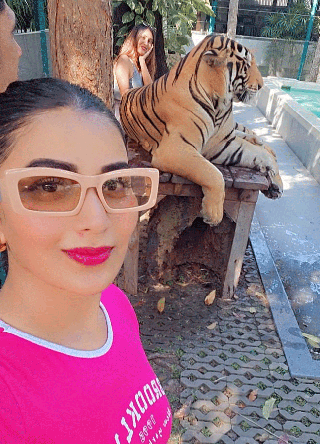 Inaya Sultana Playing Games With Tiger In Lion Park9