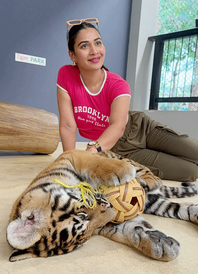 Inaya Sultana Playing Games With Tiger In Lion Park11