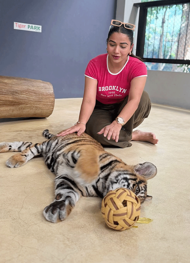 Inaya Sultana Playing Games With Tiger In Lion Park14