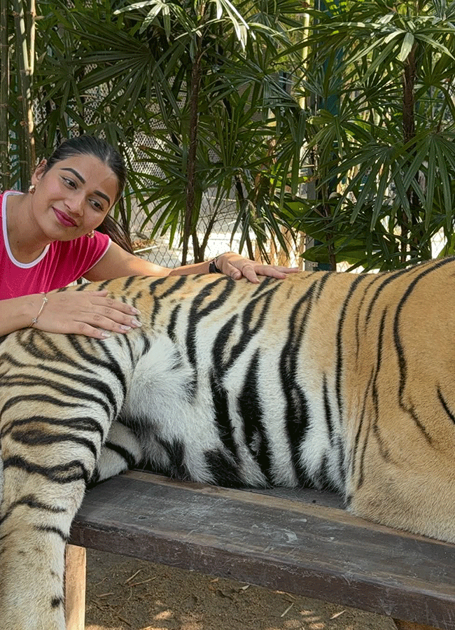 Inaya Sultana Playing Games With Tiger In Lion Park13