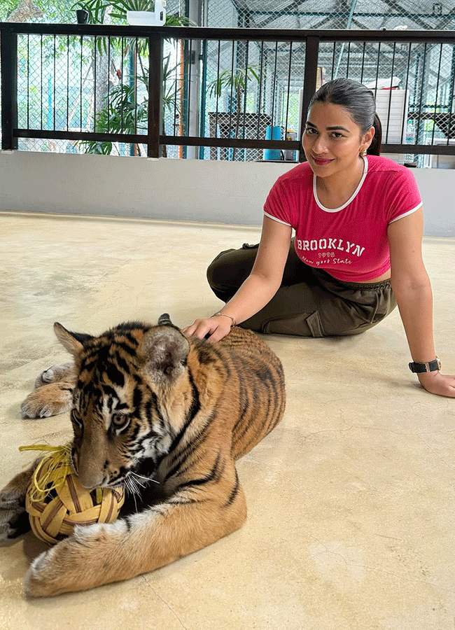 Inaya Sultana Playing Games With Tiger In Lion Park2