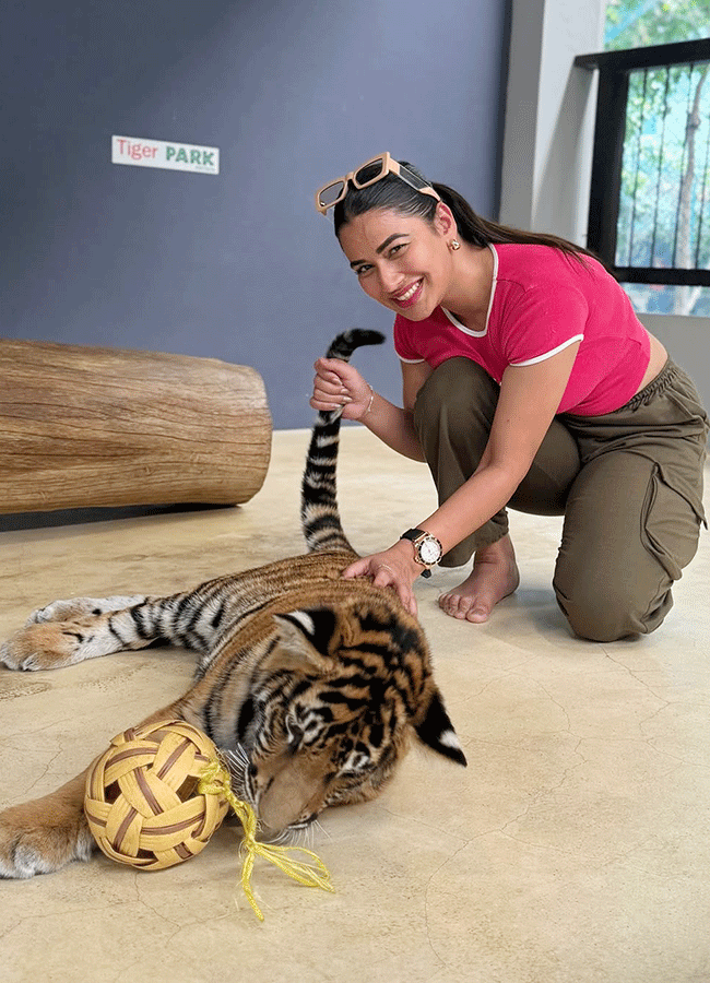 Inaya Sultana Playing Games With Tiger In Lion Park3