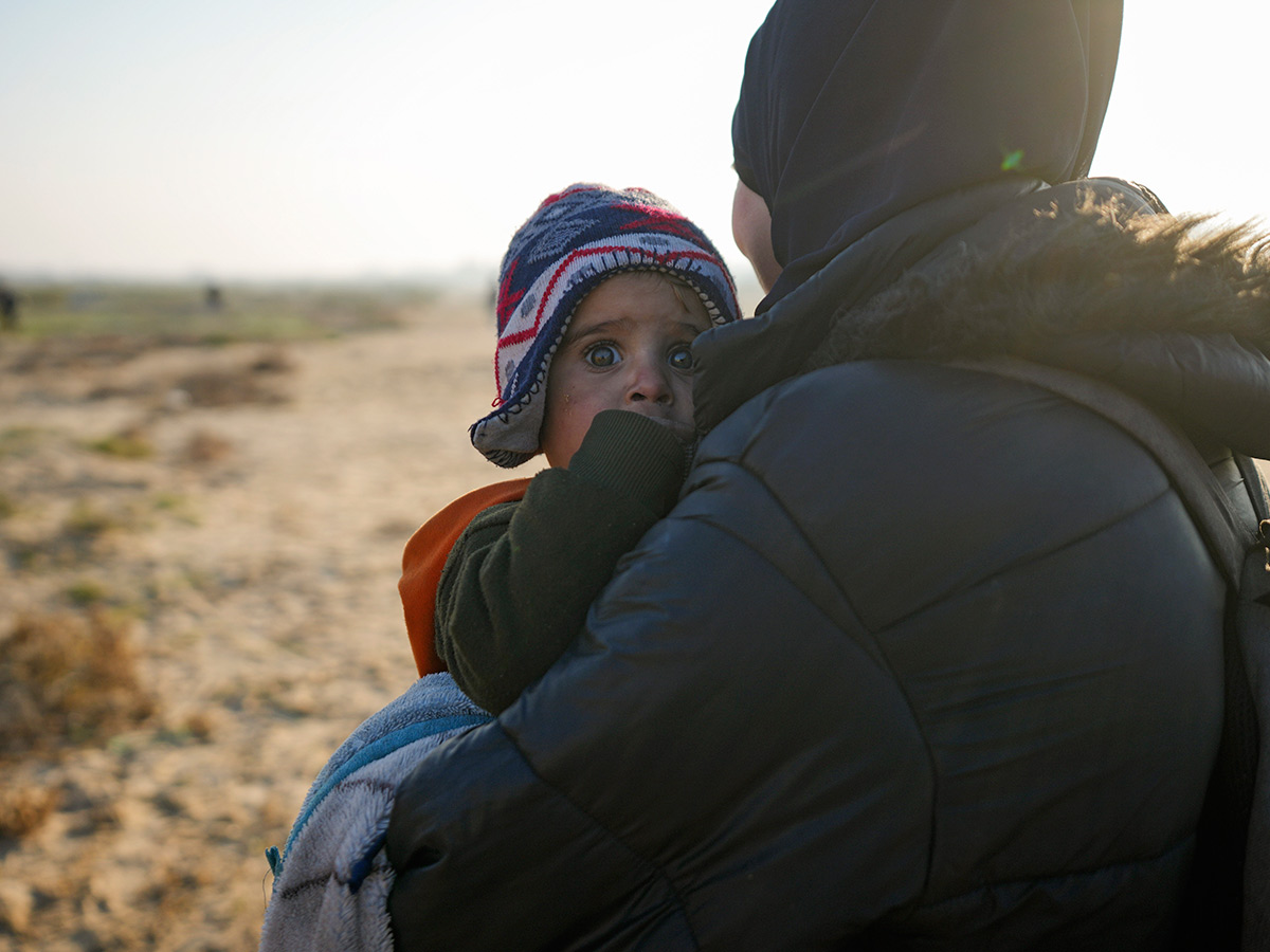 Displaced Palestinians arrive in the northern Gaza Strip Photos31