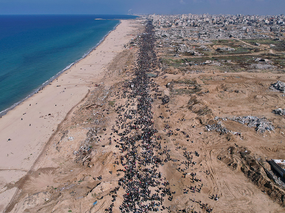 Displaced Palestinians arrive in the northern Gaza Strip Photos8