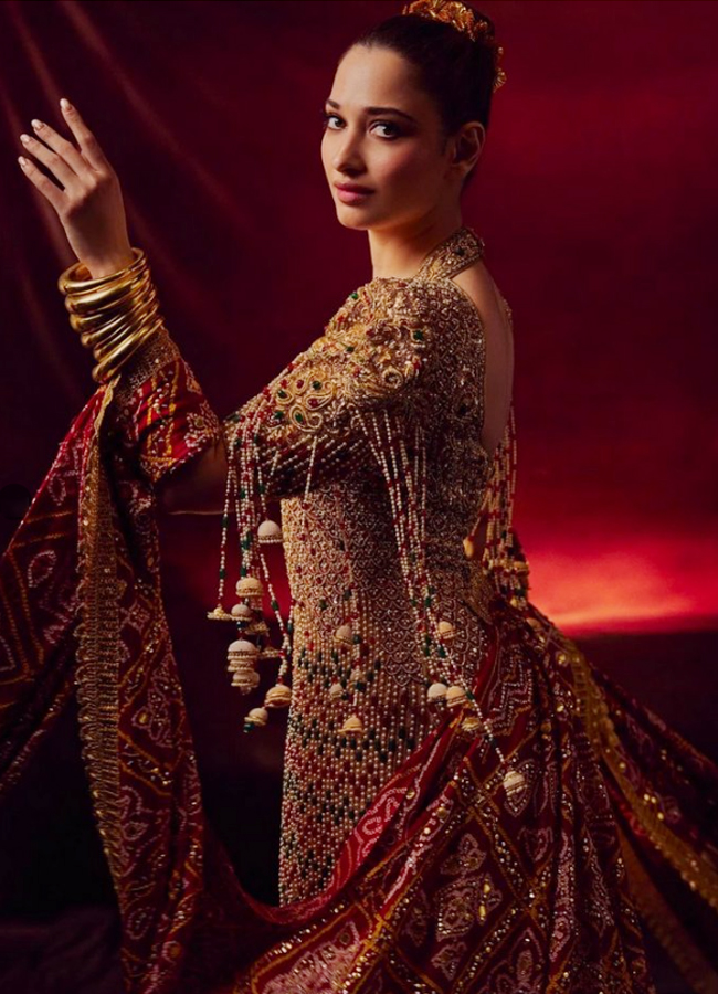 Tamannaah Bhatia Stuns In Gorgeous Outfit, See Her Latest Photos4