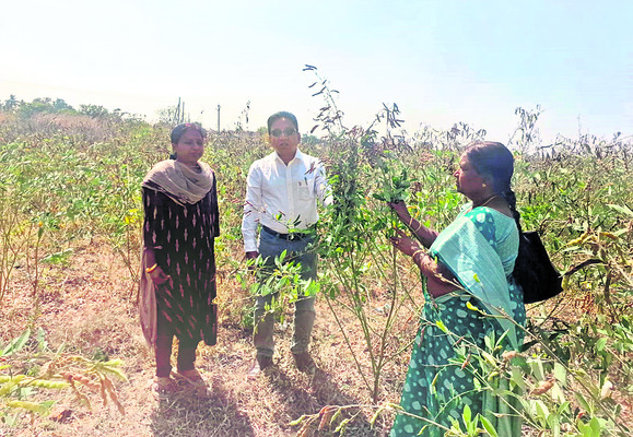 అతిథి గృహాల పనుల పరిశీలన  1