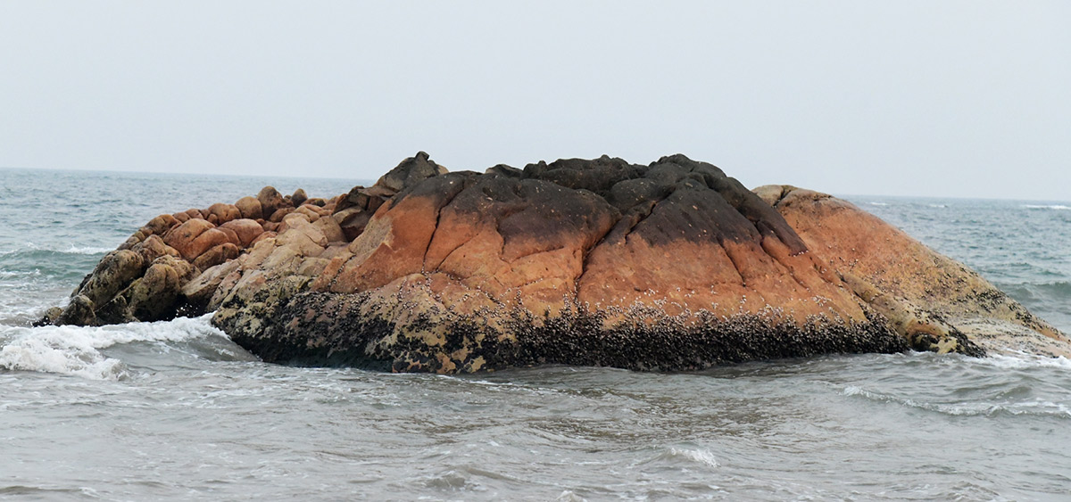 Visakhapatnam Rk Beach Photos Goes Viral9