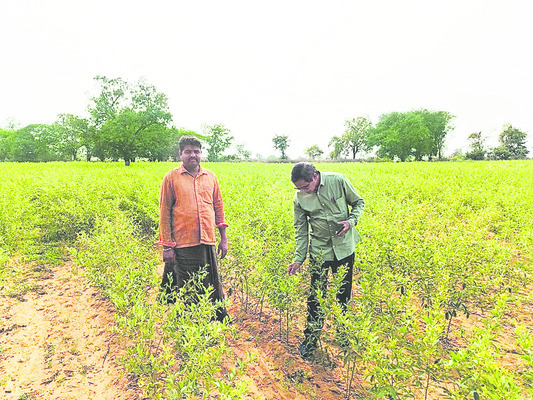 నేడు మర్పల్లికిస్పీకర్‌ ప్రసాద్‌కుమార్‌
2