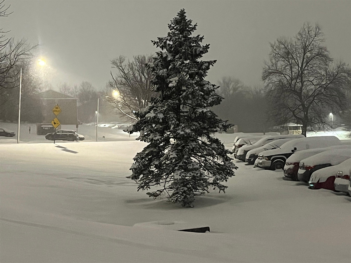 Heavy Snow Storm in America, Photos Goes Viral27