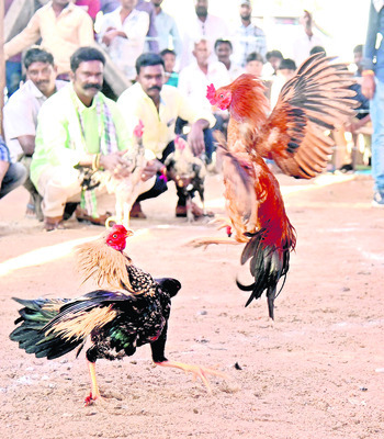 బరులకు బేరం2