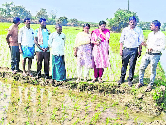 ఉగాది నుంచి  సన్నబియ్యం పంపిణీ
1