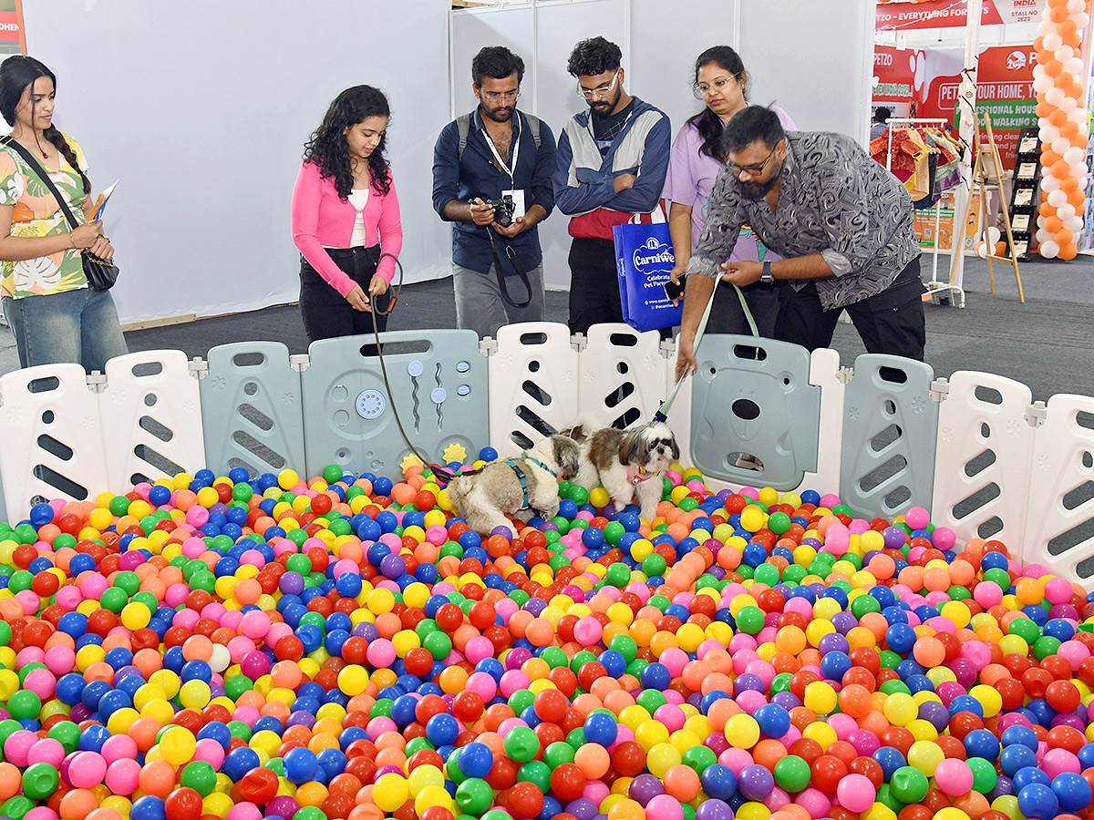 Madhapur : Petex is the largest Expo in India Photos14