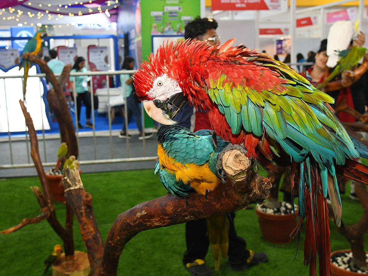 Madhapur : Petex is the largest Expo in India Photos7