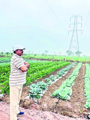 రామయ్యకు సువర్ణ పుష్పార్చన1