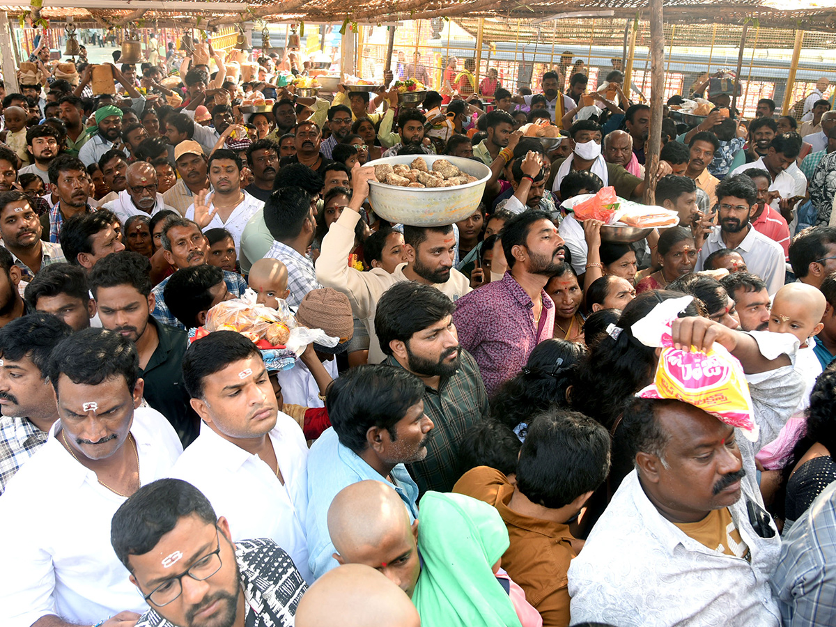 Mini Medaram Jatara To Begin Photos4