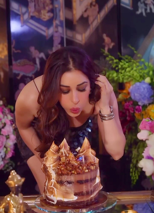 Sophie Choudry birthday is a celebration, photos goes viral16